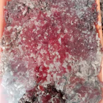 Köfteci Yusuf Hatasını Kabul Etmediği Gibi Saygısız Davranıyor