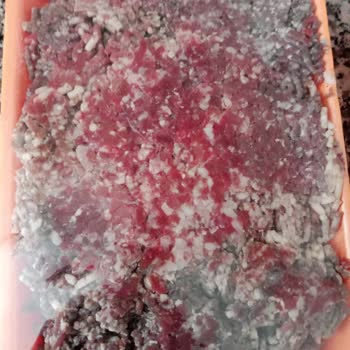 Köfteci Yusuf Hatasını Kabul Etmediği Gibi Saygısız Davranıyor