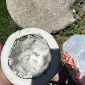 Migros Küflü Böcekli Hindistan Cevizi Gönderdi