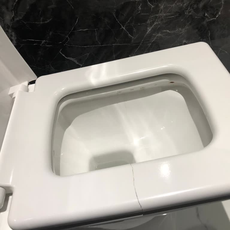 Bien Seramik Bien Lotus Klozet Kapağı Kırıldı