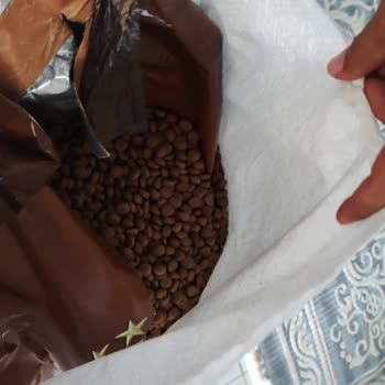 Sürat Kargo Mama Çuvalını Patlatmış