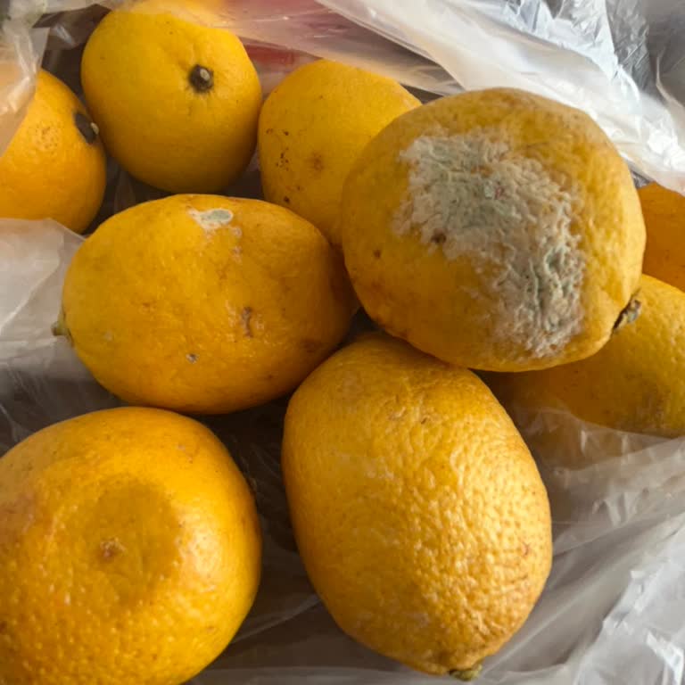 Şok Marketler Gelen Ürün Küflü