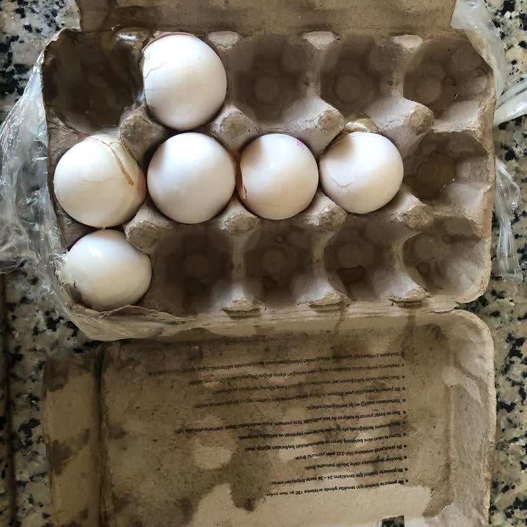 Migros Kırık Yumurta Teslimi