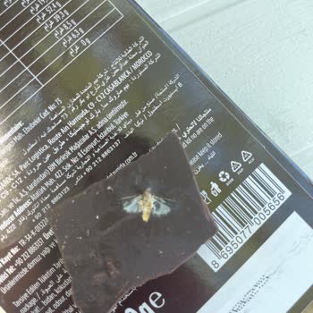 (BİM) Buono'dan Çıkan Sürpriz Sinek!