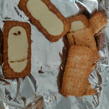 Ülker Saklıköy Kremalı Bisküvi Kurtlu Çıktı