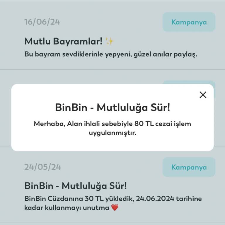BinBin Park Yasağı Saçma Sapan