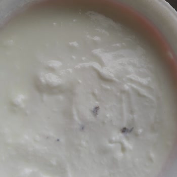 Sütaş Yoğurttan Çıkan Cisimler