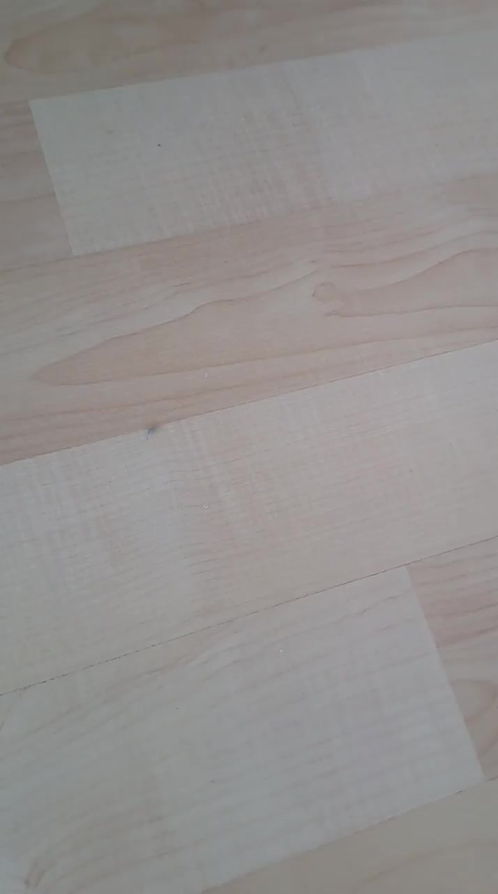 Fakir Vacuum's Poor Suction Performance and Malfunction video cover