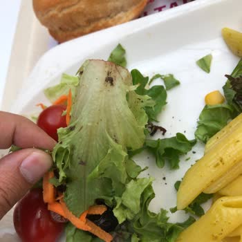 Tavuk Dünyası Sebzelerini Yıkamıyor Ve Sunum Yapıyor