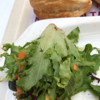 Tavuk Dünyası Sebzelerini Yıkamıyor Ve Sunum Yapıyor