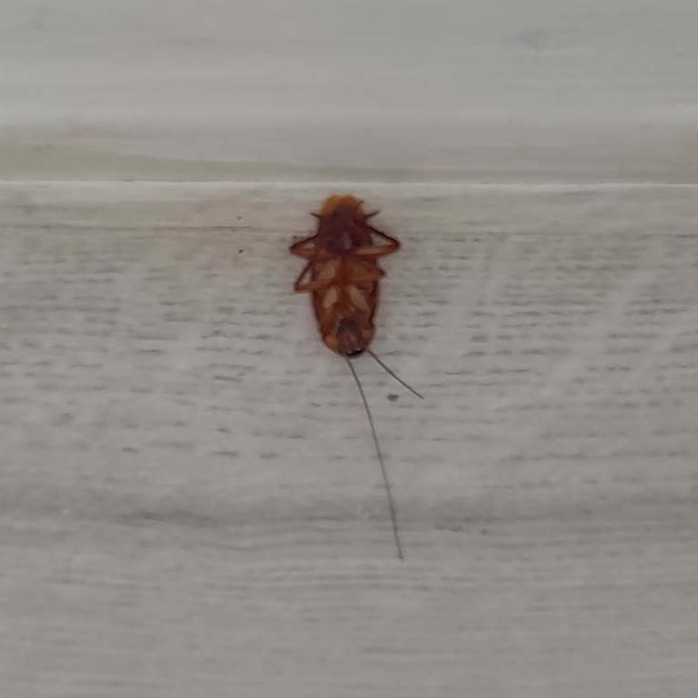 Trendlife Hotels Bodrum Torba Tek Kelimeyle Fiyasko!