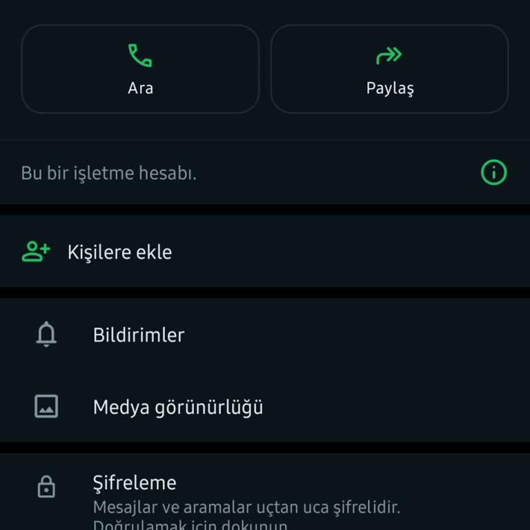 WhatsApp Yabancı Numara