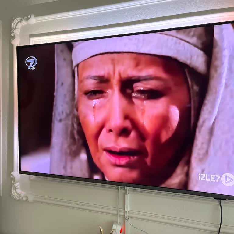 Philips TV Mikrofon Sorunu