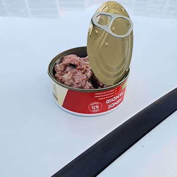 A101 Son Kullanma Tarihi Geçmemiş Ürünlerde Kalite Sorunu