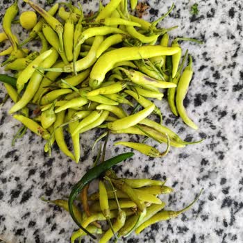 Arçelik 583630 Buzdolabı Kusuru