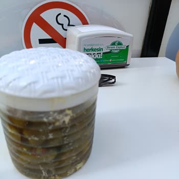 Ekrem Coşkun Döner Temizlik Sorunu Ve İlgisizlik