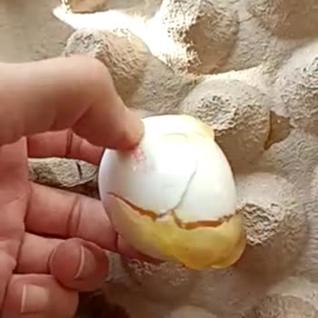 A101 Yumurtaların Kırık Gelmesi Ve Muhasebe Sorunları