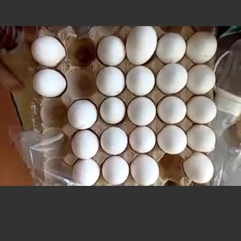 A101 Yumurtaların Kırık Gelmesi Ve Muhasebe Sorunları