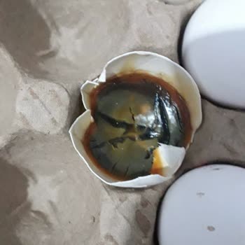 BİM Sağlığımızla Oynayan Çürük Yumurtalar