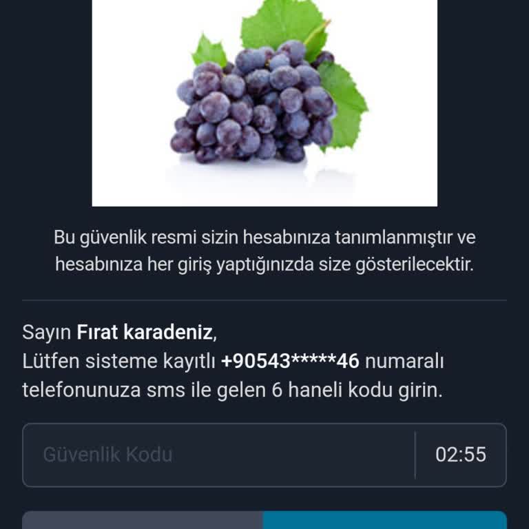 BTCTURK Numara Değiştirmesi Yapamıyorum