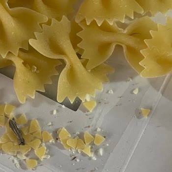 Barilla Gıda Makarnadan Böcek Çıktı