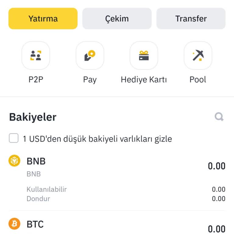 Binance Telefondan Girince Varlıklarım Gözükmüyor