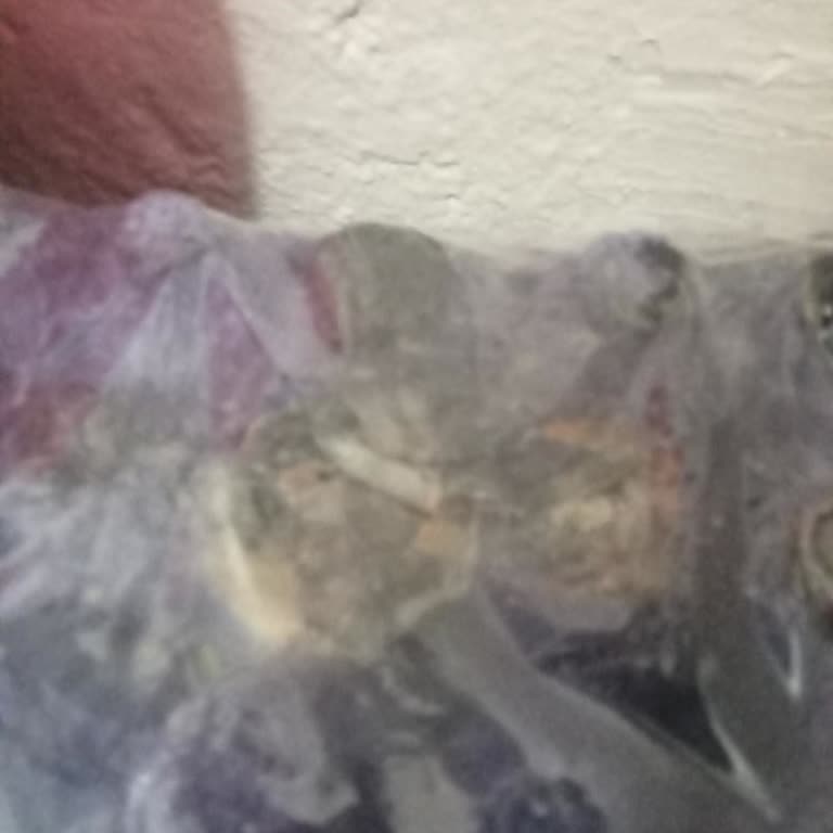 Yemeksepeti Şikayet Küflü Yumurta