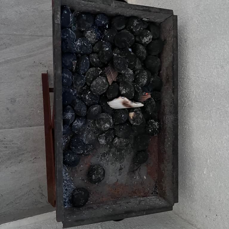 Carrefour SA Kömür Yerine Kömüre Benzer Yanmayan Bir Şey Satıyor