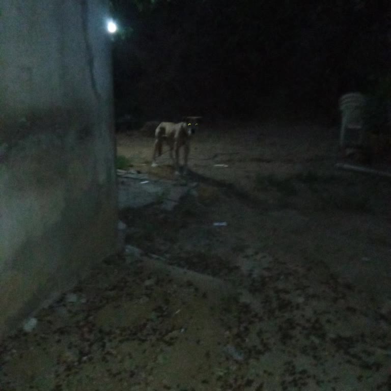 CK Boğaziçi Elektrik Gelmeyen Fatura Ve Kaçak Elektrik