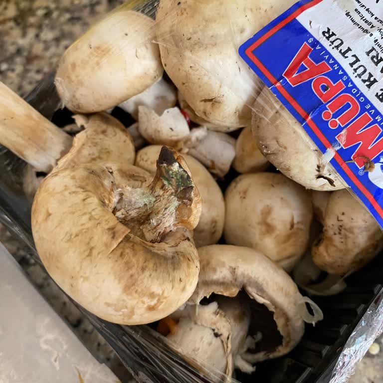 Migros Hemen Kokmuş Çürük Ürün Yollaması Hakkında