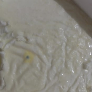 Eker Kaymaklı Tava Yoğurdu Küflenmiş