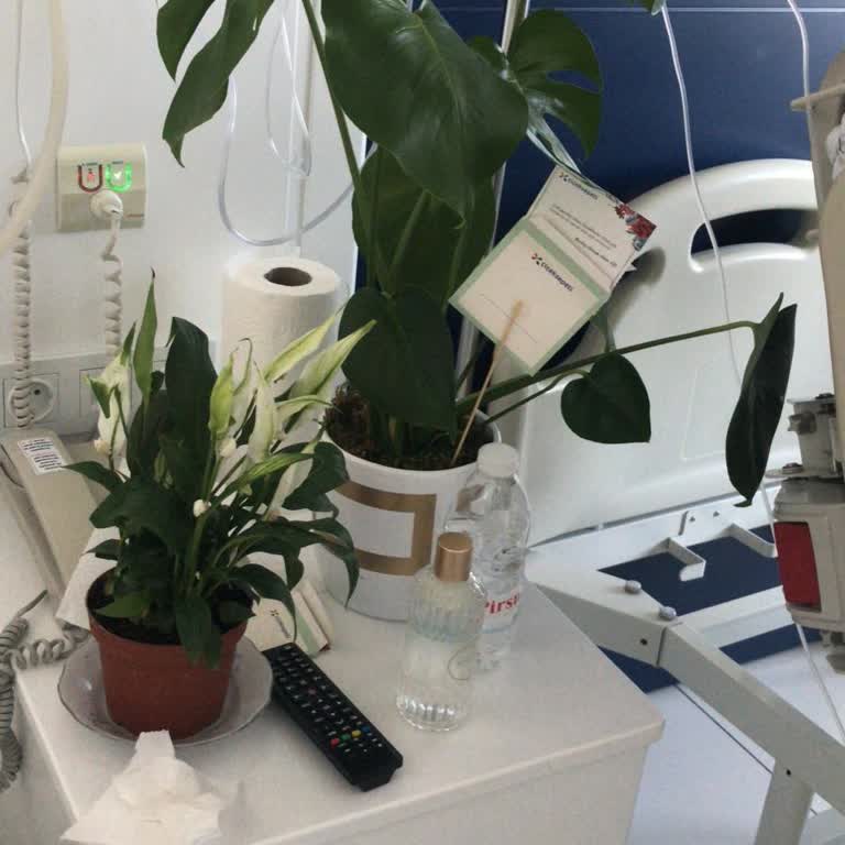 ÇiçekSepeti Çiçek Sepetinde Siparişimle Alakasız Çiçek Teslimi Ve Düzeltil