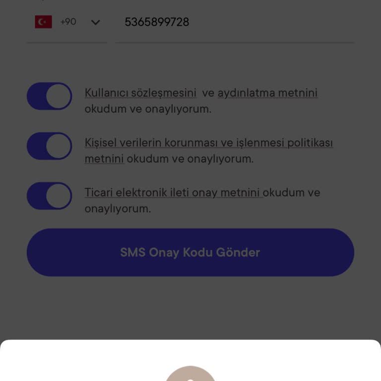 Frink Giriş Hatası Hakkında Destek