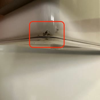 Vestel Buzdolabının Yenisi İle Değişiminde Yine Mağdur Ediliyorum