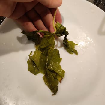 Sera Gıda Salamura Yaprağı Kötü Çıktı