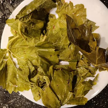 Sera Gıda Salamura Yaprağı Kötü Çıktı