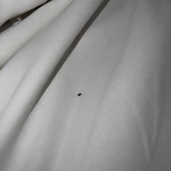 Hotels.com Green Paradise Hotel, Alanya, Antalya