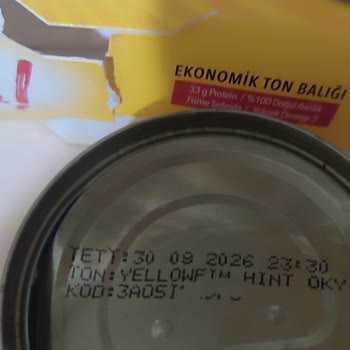 Dardanel Tonla Balığındaki Ağır Metalik, Yanmış Bakalit Kokusu🤢