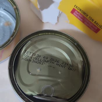 Dardanel Tonla Balığındaki Ağır Metalik, Yanmış Bakalit Kokusu🤢