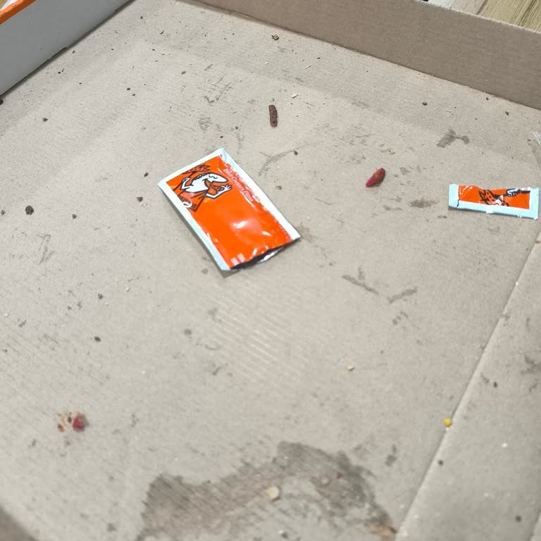 Little Caesars Davranış Rahatsız Edici Konuşma Ve Bağırarak Saygısızca Gülüşmeler