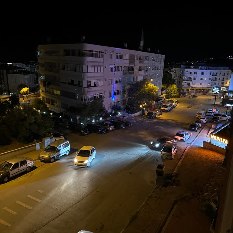 Armutlu Belediyesi Armutlu Bayır Mahallesi Tümsek Kasis Hız Kesici Talebi Lütfen