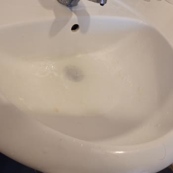 Club Wasa Holiday Village Pislik İçinde İnsan Sağlığı Tehlikede