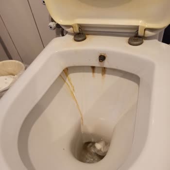 Club Wasa Holiday Village Pislik İçinde İnsan Sağlığı Tehlikede