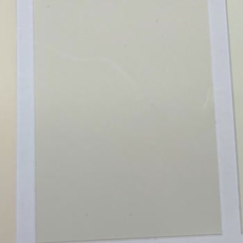 Güz Yağmuru Mor Çıktı Marshall