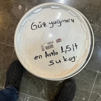 Güz Yağmuru Mor Çıktı Marshall