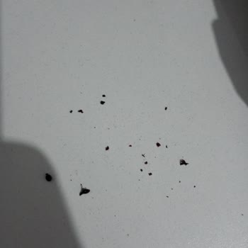 Porima İstediğim Gibi Olmadı