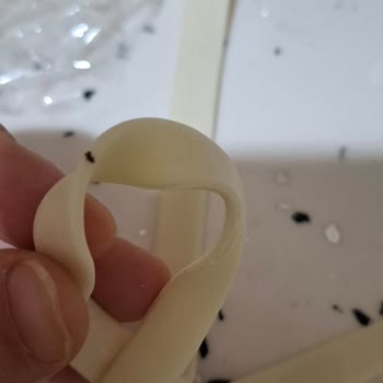 Toybox Böcek Çıkması