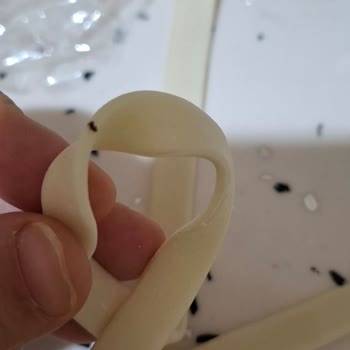 Toybox Böcek Çıkması