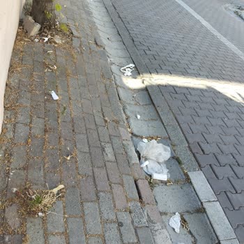 Avcılar Belediyesi Sokak Çöp İçinde