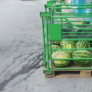 A101 Bozuk Meyveler Satıyor